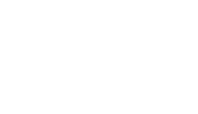 Haenel-Back-to-the-woods-Logo-weiss-800x